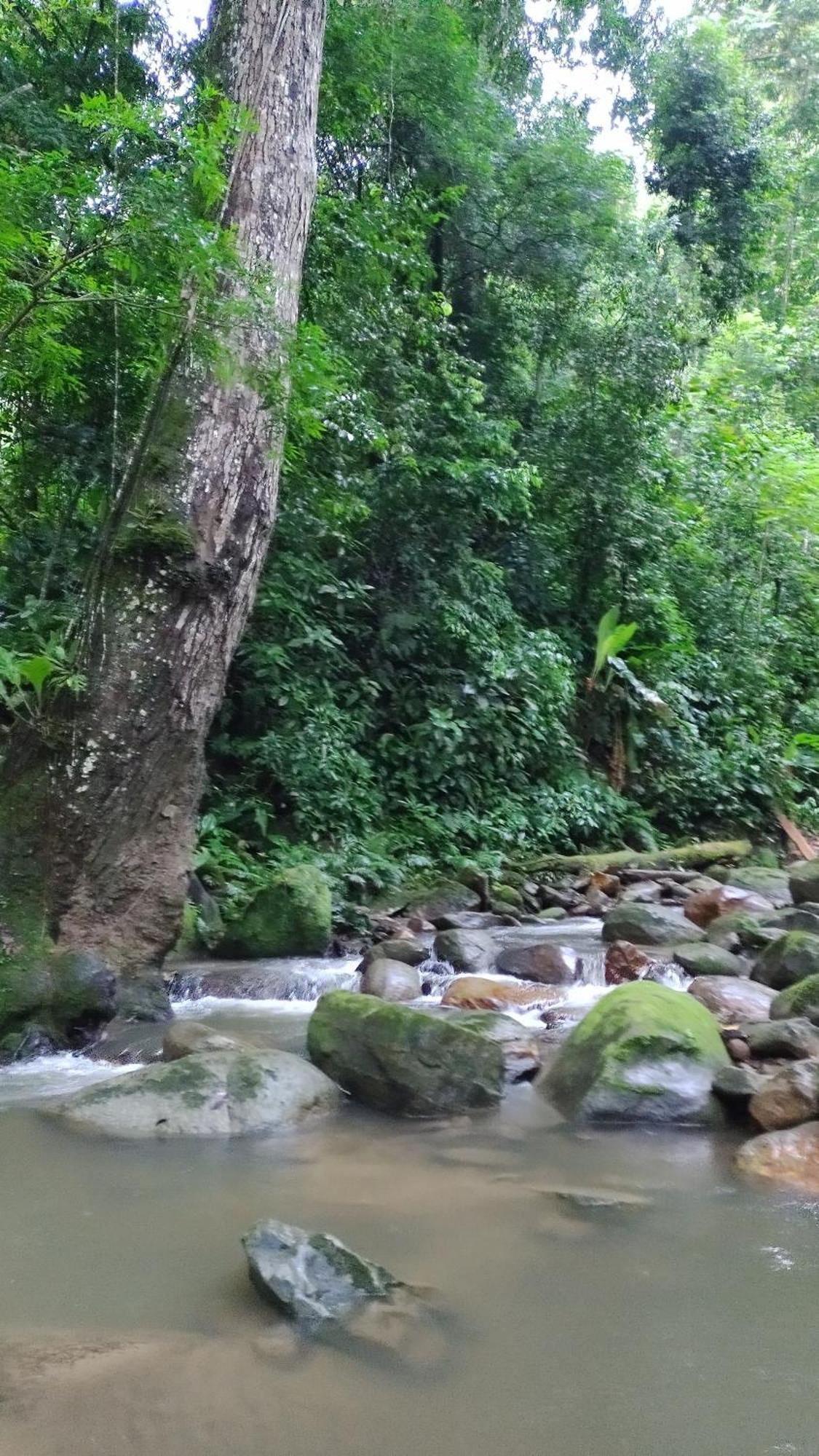 Casaluna Tayrona Villa Santa Marta  Esterno foto