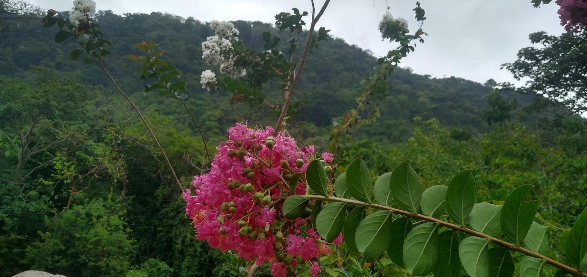 Casaluna Tayrona Villa Santa Marta  Esterno foto